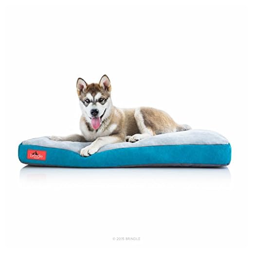 Brindle Shredded Memory Foam Dog Bed with Removable Washable Cover-Plush Orthopedic Pet Bed- 40 x 26 inches - Teal