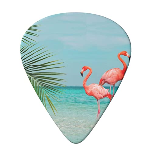 Flamingo In Water Lot de 6 médiators pour guitare acoustique, guitare électrique, basse, ukulélé – fins, moyens et épais… - Les Beatles, Paul McCartney, John Lennon, RIngo Starr, George Harrison Flamingo In Water Lot de 6 médiators pour guitare acoustique, guitare électrique, basse, ukulélé – fins, moyens et épais… – Image 4