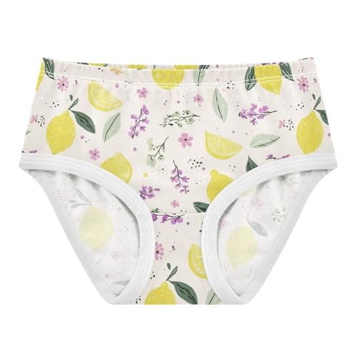Wusikd Lemon Lavender Girls' Underwear Cotton Girls Briefs Soft Toddler Underwear 2T