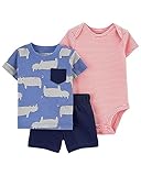 Carter's Baby Boy 3-Piece Short Set (Rhino, 6 Months)