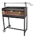 IMEX EL ZORRO 71493 - Barbacoa con Ladrillo Refractario y Parrilla Esmaltada 120x45x102 cms.