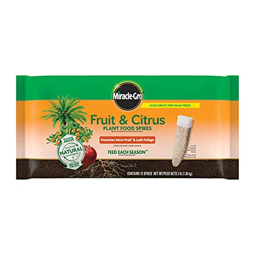 Miracle-Gro Fruit & Citrus Plant Food Spikes - 10-15-15 NPK Easy-To-Use Nutrition for Fruit and Citrus Trees, Plant Fertilizer, 12 Spikes, 3 lb.