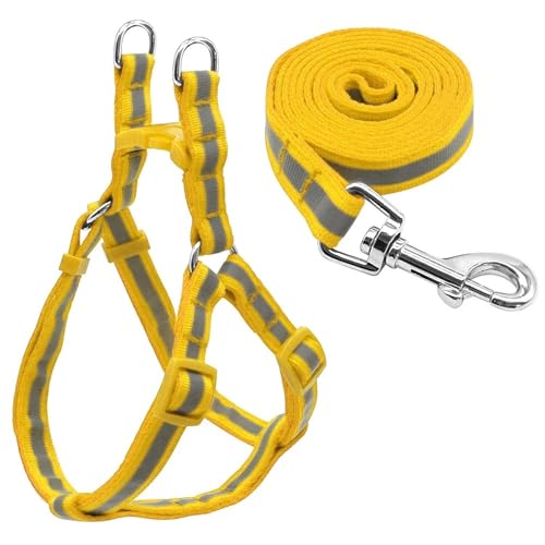 Oː\ȃiChbOn[lX[VX[~fBAhbOpZbgChihuahua Shiba Inu Yorkshire Terrier,F,s