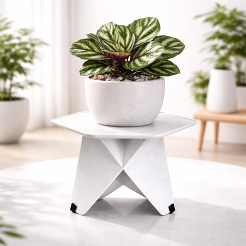 Image of Planter Stand Living Room, Plant Stand 20 kg capacity for Balcony, Flower Pot Holder for Home , office Balcony Living Room Indoor & Outdoor, Garden Rack Round Planter Shelf for Patio Plants Home Decor Item (1)