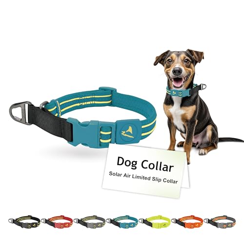 DOCO Solar Martingale Collar for Medium and Large Dogs, Heavy-Duty Reflective Mesh Collar