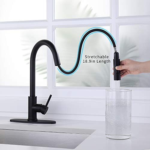 https://m.media-amazon.com/images/I/413NEdMfkML._SL500_.jpg