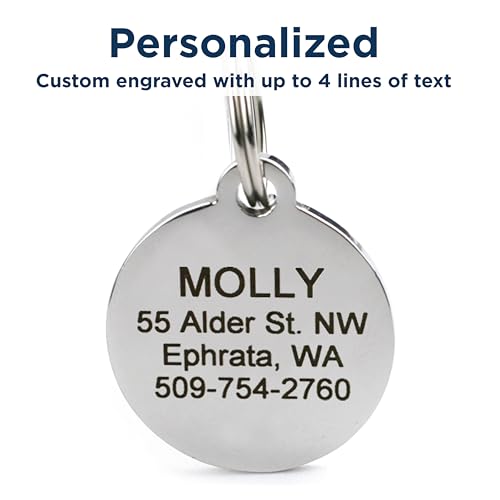 GoTags Playful, Custom Engraved Pet ID Tags, Solid Stainless Steel, Personalized Dog and Cat Pet ID with up to 4 Lines of Text, Cute, Durable and Long-Lasting