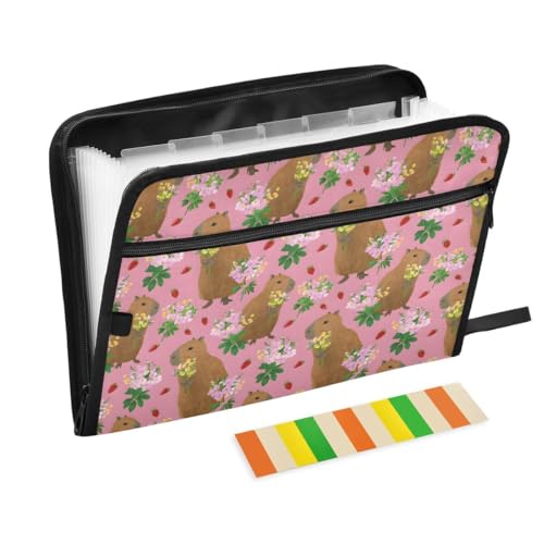 ALAZA Capybara Flower Strawberry Fruit Expandable Filing Folder Storage Organiser Box Files, 13 Pockets Zip Filing Folders for Home or Office Documents