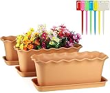 Cajas de Ventana rectangulares para Plantas, Paquete de 3 macetas de plástico para Flores suculentas con platillo, para Plantar Jardines, decoración de Interiores y Exteriores, alféizar de v