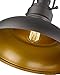 zeyu Farmhouse Pendant Light, 1-Light Industrial Hanging Light Fixture 11-inch, Oil Rubbed Bronze Finish, 016-1 ORB