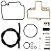 LIYYDS Carburetor Rebuild Repair Kit Compatible with Mikuni HSR42 HSR45 HSR48 Smoothbore KHS-016 Twin Cam Evo Big Twin