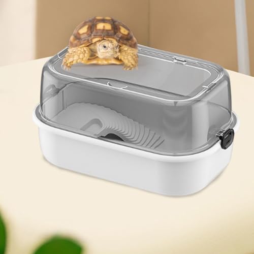 Recipiente de alimentación para reptiles con plataforma de sol elevada 6