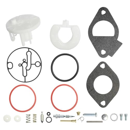 Kit de réparation carburateur Nikki pour stopper les ratés moteur Briggs Stratton 699900