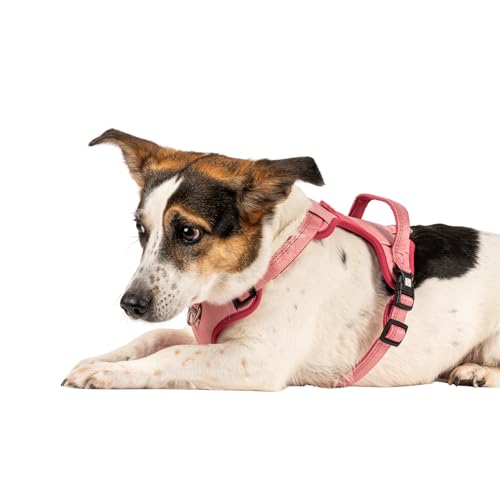 Max & Molly Sport Hundegeschirr Sehr Grosse Hunde mit Gotcha! Smart ID Sicherheitsanhänger, Matrix 2.0 Rose/XL, Geschirr Hund Gepolstert & Reflektierend - Komfort für deinen treuen Begleiter