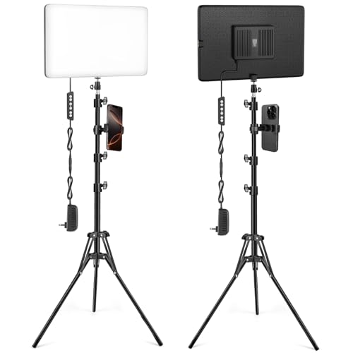 2-Pack LED Video Light Kit with Tripod Stand