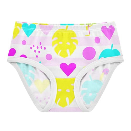 Toddler Girls Underwear 2t Cotton Girl Panties Cute Fun Print Briefs Girls Undies Pink Flamingos Tropical