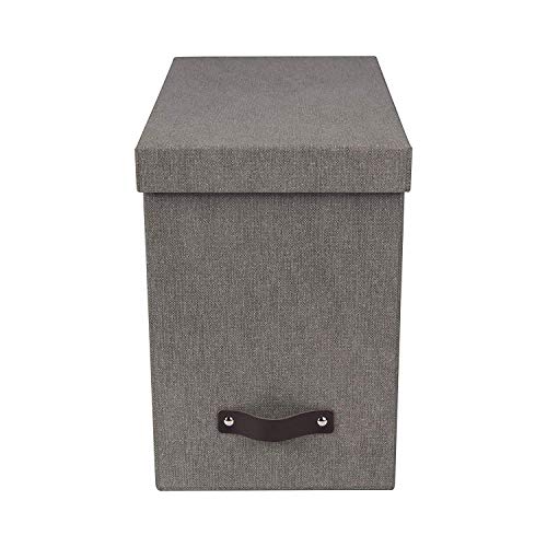 Bigso Box of Sweden Organizer na dokumenty ze stylowym skórzanym uchwytem, organizer o skandynawskim wyglądzie, w tym 8 wiszących plików, pojemnik na teczki z płyty pilśniowej i papieru, szary