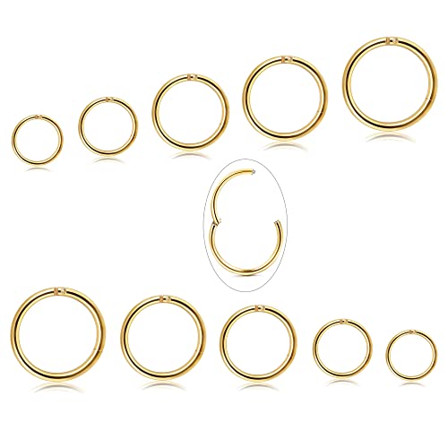 Diamday 10 Stück 6-12mm 316L Stahl Nasenringe Septum Piercing Knorpel Hoops Segmentring Körper Piercing Nase Hoop Lippenringe Helix Ohrringe Für Frauen Männer Gold 16G