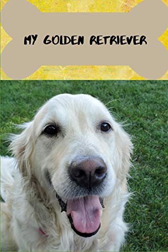 My Golden Retriever