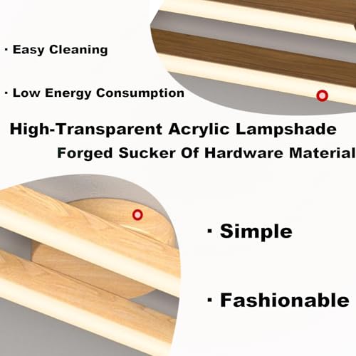 Lampes de plafond LED dimmables avec télécommande pour cuisine et grand salon - 2
