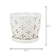 hypehouse Allen + roth 8 in. Orchid Pot with Saucer White