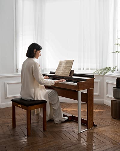 Donner DDP-80 Digital Piano 88 Key Weighted Keyboard+ Donner Piano Bench with Storage - image 6