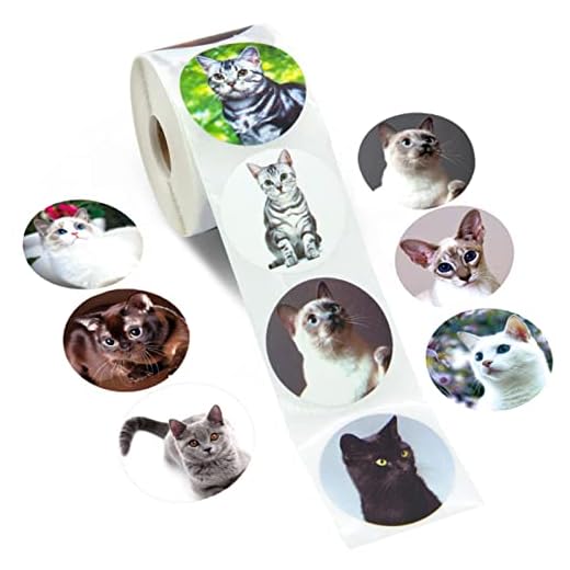 2 rullar Creative Cat Stickers Etiketter Belöningsdekal för skollärare Barn Smiley brevpappersklistermärke (500st/rulle)-standard