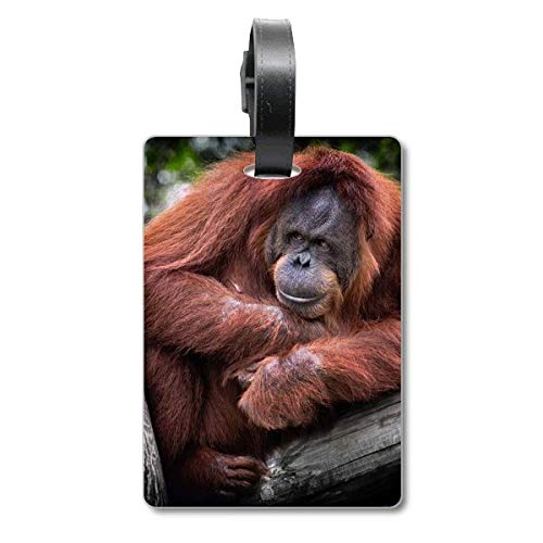 Étiquette pour valise orang-outan pour éviter les pertes de bagages