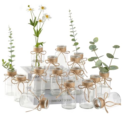 Vintage Glass Flower Vase Bulk 16 Pack Farmhouse Transparent Centerpiece