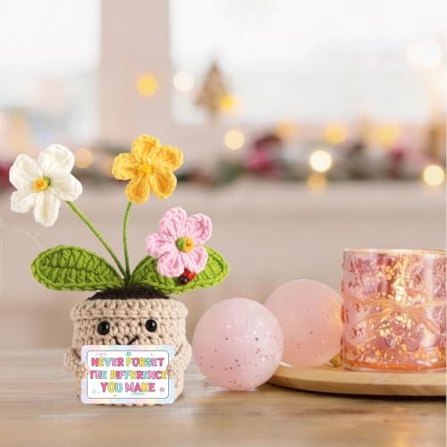 Teacher Gifts for Women Mentor,The Different You Make Emotional Support Plant Positive Crocheted Flowers Forget-Me-Not Gifts Teacher Appreciation Day Thank You Gift for Teachers Coworkers Mentors — view 5