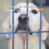  2023 Calendario Perro de refugio: 12 Meses, Tamaño 21,5x21,5 cm, con festivos en españa, ideas de regalo de aniversario para hombre, mujer, madre, padre.