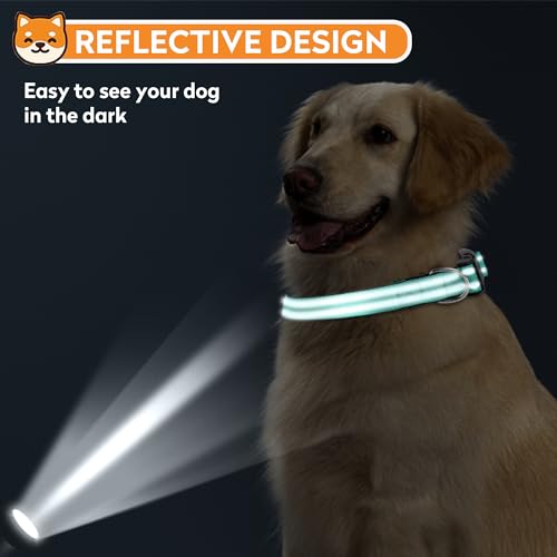 Reflective Dog Collar, Adjustable Soft Neoprene Padded Nylon Pet Collars with Buckle for Medium Dogs, Teal,M - Image 7