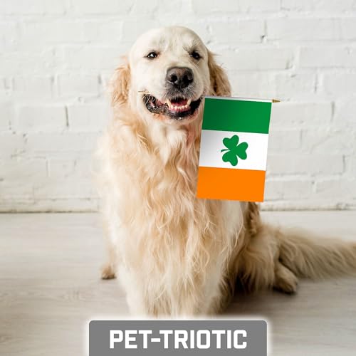 G128 12 Pack Handheld Ireland Shamrock Irish Stick Flags | 8x12 In | Printed 150D Polyester, Country Flag, Solid Wooden Stick, Spear Gold Tip, St. Patrick's Day Decor by G128 - Image 7