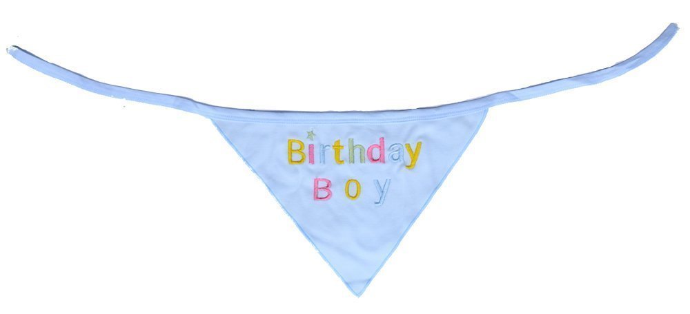 Embroidered Cute Dog Pet Cat Birthday Bandana for Cats Dogs, 100% Cotton, Blue
