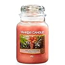 Yankee Candle Scented Candle | The Last Paradise Large Jar Candle | Burn Time: up to 150 Hours