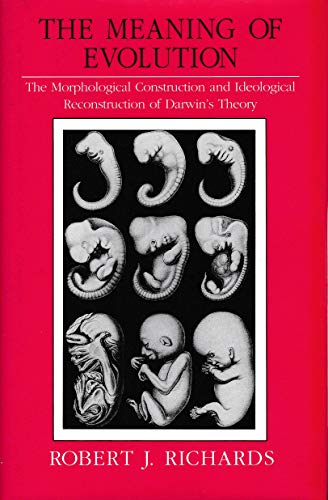 The Meaning of Evolution: The Morphological