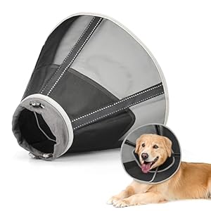 Joypig Halskrause 82 für Hunde