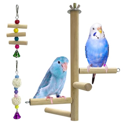 Image of Hamiledyi Bird Perch Stand Toy Natural Wood Perch Stand Birds Toys Parakeet Toy with Rotating Balls Spinning for Parakeets Cockatiels Conures Budgies Finches Love Birds