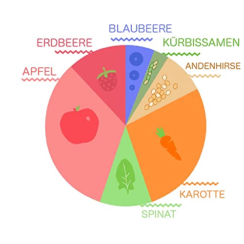 Little Inca Yummy Purple (6 x 100 g) | Recycelbare Beutel mit pflanzlicher Bio-Babynahrung auf Quinoa-Basis, schont den Darm und fördert die kognitive Entwicklung | Laktosefrei | Ab 6 Monaten