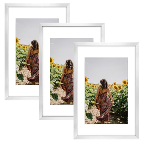Image of Frametory, 16X24 Picture Frame Display 12X18 with Mat or Without Mat, Horizontal or Vertical Wall Poster Frame with High Definition Glass, Wide Molding, Perfect for Home Decorate (Silver, 3 Pack)