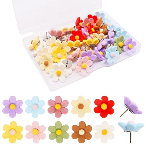 SUNCN 40 t[vbVs 킢 Fte RN{[h f z[ItBX L[rNp (ԁA40)