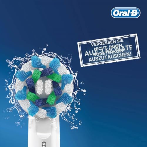 Oral-B EB 10 2 Frozen 2 Stück (en) Blau, Rosa Haarbürste - Bürstenkopf (blau, rosa) – Ansicht 3