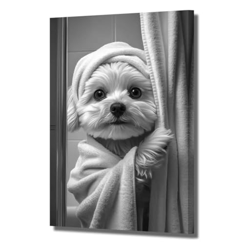 XLMDYYSW ʔ  EH[A[g  oX[ ʐ^ 킢 oX[u  LoXvg [A ybg  G gC gC gC z[fR[V t[t