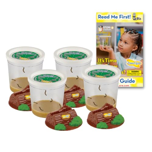 Insect Lore Funtastic 4 Cups of Caterpillars – 20 Live Painted Lady Caterpillars with Food,...