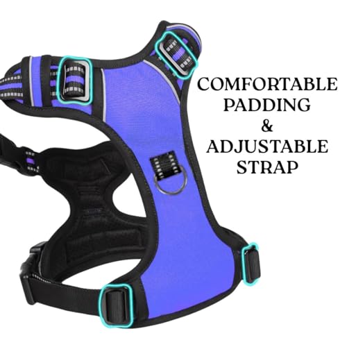 Image of No Pull Dog Chest Belt Harness, Comfortable & Adjustable Size for 14-23 Kg Pet (Blue, Medium)
