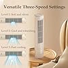 Coldeez Cooling Ace, 2025 New Cool Air Fan, Cooling Ace Portable