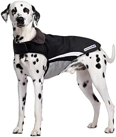 Buddypuppy Waterproof Dog Coat, Dog Rain Coat with Harness Hole & Reflective Stripes, Windproof Warm Winter Dog Jacket for Medium Large Dog (L)