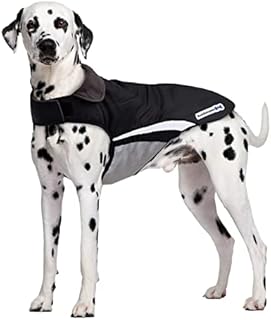 Buddypuppy Waterproof Dog Coat, Dog Rain Coat with Harness Hole & Reflective Stripes, Windproof Warm Winter Dog Jacket for Medium Large Dog (L)