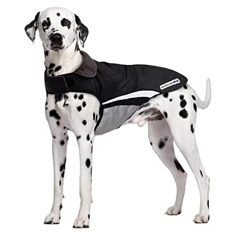 Buddypuppy Waterproof Dog Coat with Harness Hole Cover