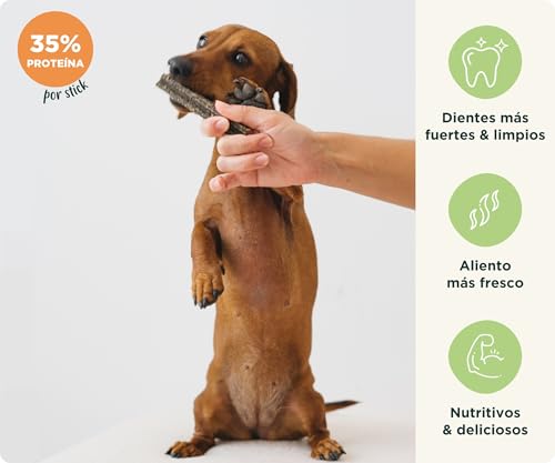 Miniatura 4 de Wolf Belly - Stick Dental Perro Natural 28 Uds 93 Pavo Y Menta Sin Cereales Higiene Dental Aliento Fresco Textura Resistente Delicioso Sabor Carne Rico En Proteínas - Producido En Europa